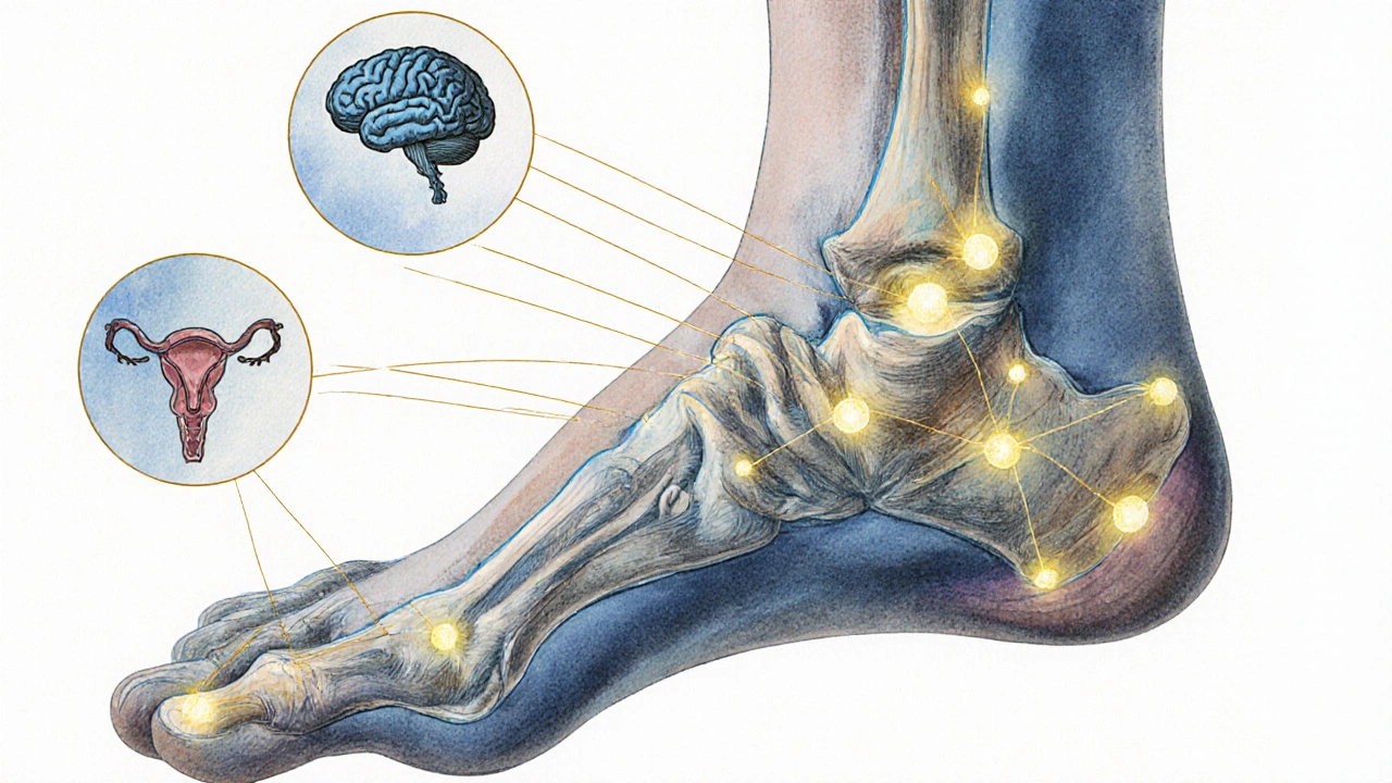 Náčrt chodidla s označenými reflexními body spojenými s orgány.
